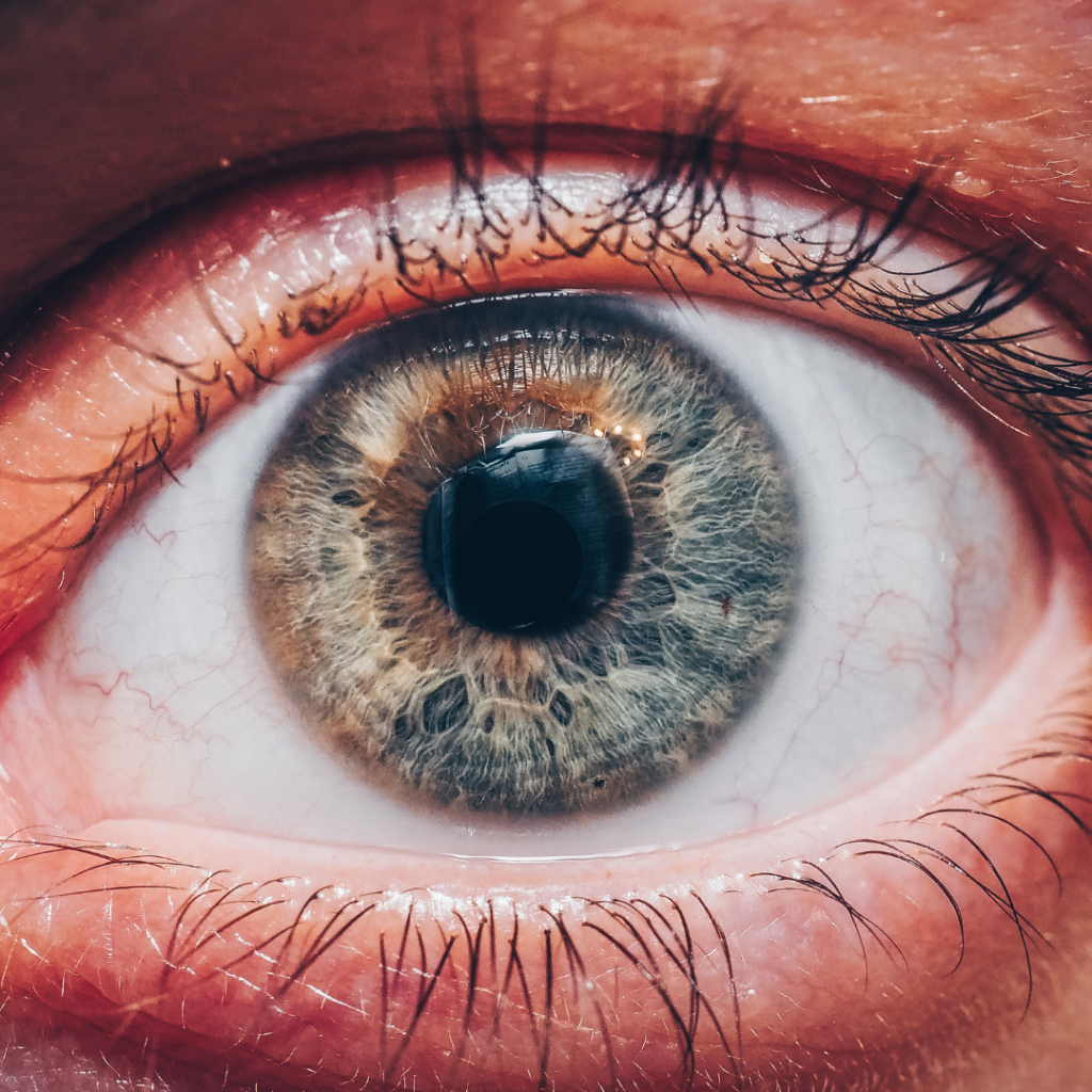 Retina Specialist Near Me