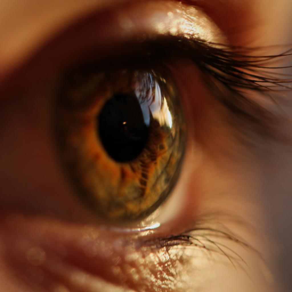 Retina Specialist Near Me